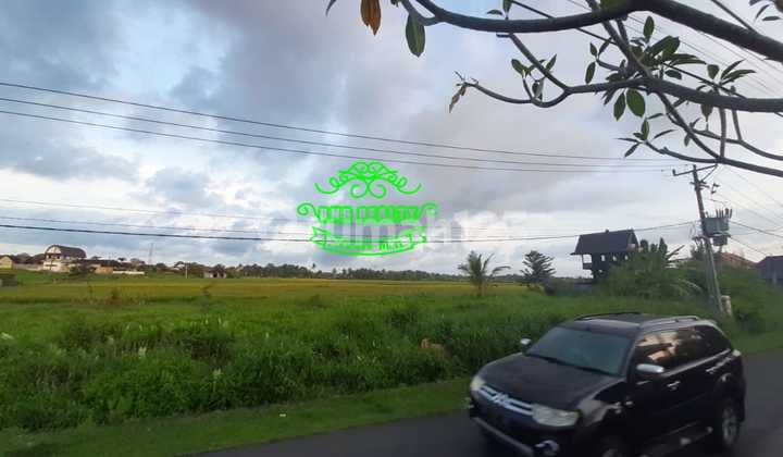 Tanah Sewa Lokasi Kedungu 2