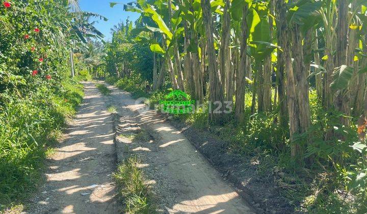 Tanah Jual Lokasi Bitera 1
