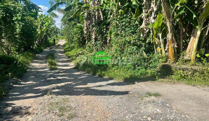 Tanah Jual Lokasi Bitera 2
