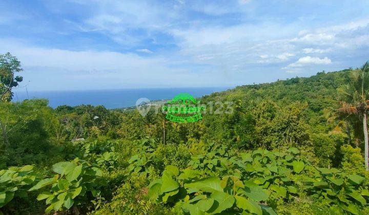 Tanah Jual Lokasi Cempaga 1