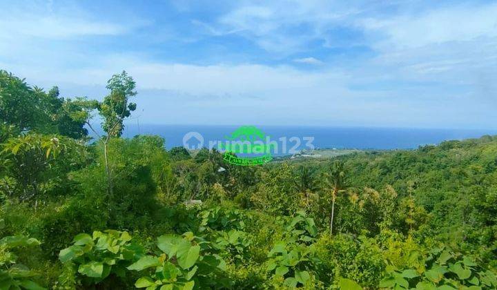 Tanah Jual Lokasi Cempaga 2
