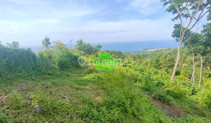 Tanah Jual Lokasi Cempaga 3