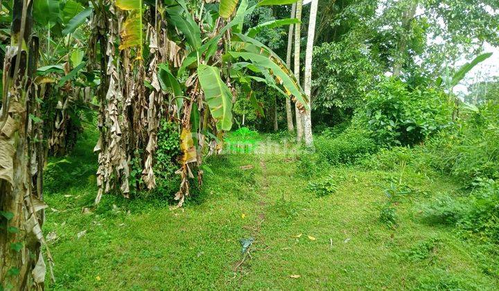 Tanah Sewa Lokasi Lodtunduh 3
