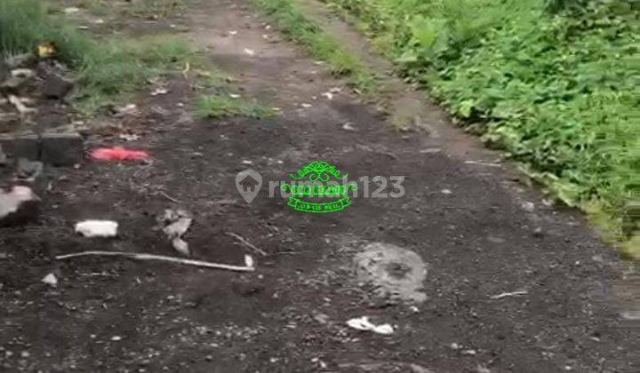 Tanah Sewa Lokasi Pejeng 2