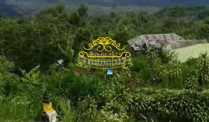 Tanah Jual Lokasi Kintamani 1