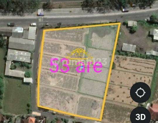 Tanah Sewa Lokasi Ketewel 1
