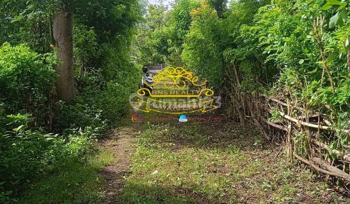 Tanah Sewa Lokasi Balangan 3