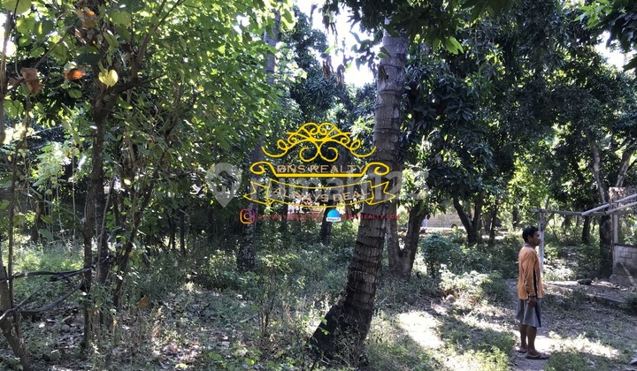 Tanah Jual Lokasi Tembok 1