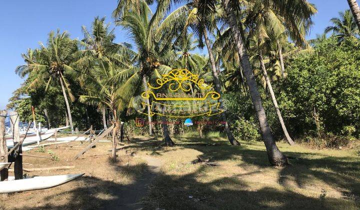 Tanah Jual Lokasi Tembok 2