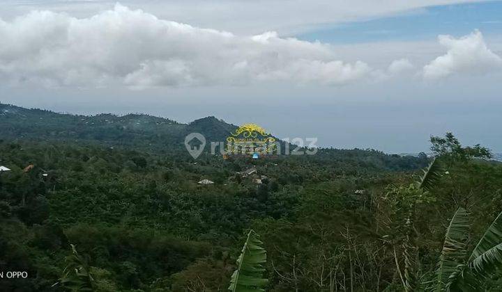 Tanah Jual Lokasi Wanagiri 1