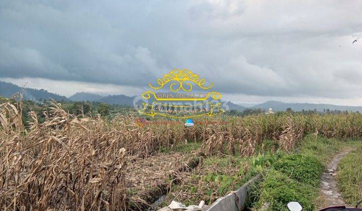 Tanah Jual Lokasi Medewi 2
