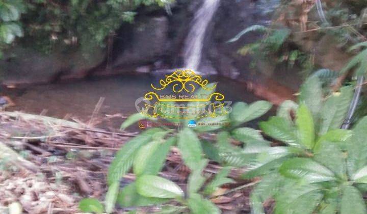 Tanah Jual Lokasi Pedawa 1