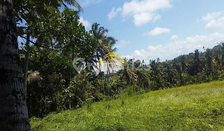 Tanah Sewa Lokasi Saba 2