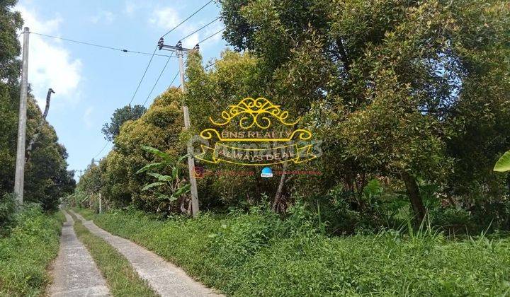 Tanah Jual Lokasi Pegayaman 1