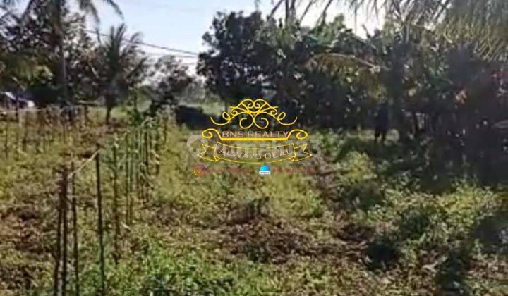 Tanah Sewa Lokasi Tebongkang 1