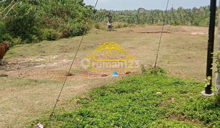 Tanah Jual Lokasi Berangbang 1