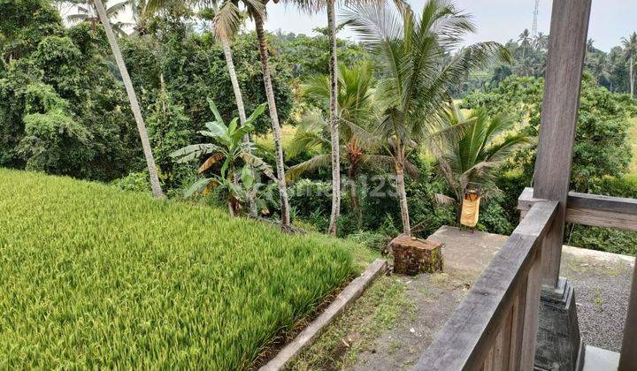 Villa for sale Pejeng location 1