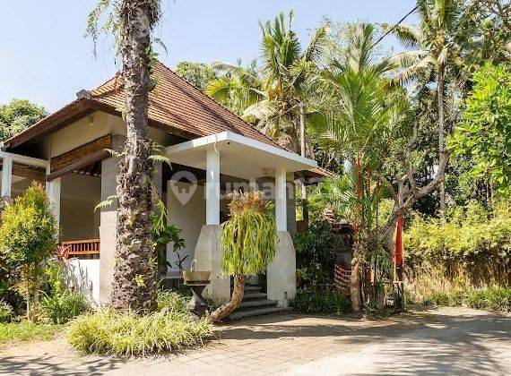 Villa Jual Lokasi Payangan 1