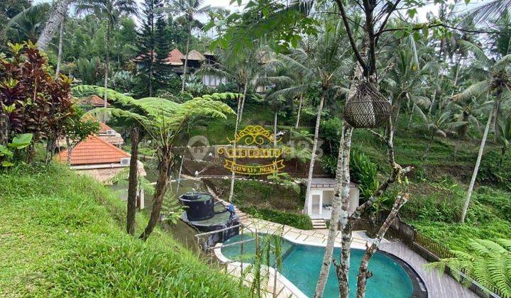 Villa Jual Lokasi Bersela 1