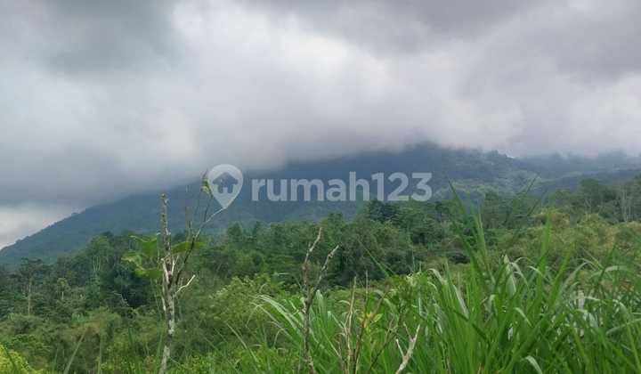 Tanah Jual Lokasi Angseri