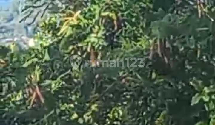 Tanah Jual Lokasi Antiga Tanah Jual Lokasi Antiga