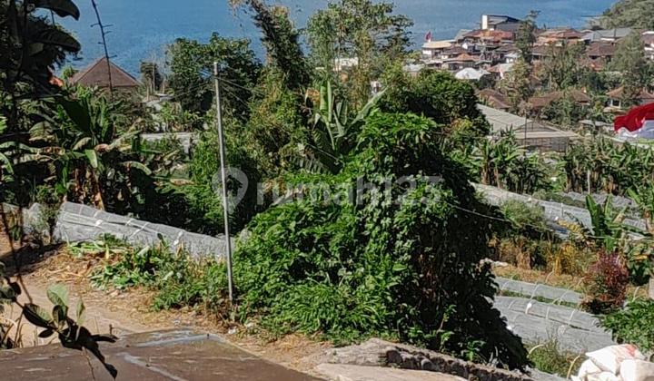 Rumah Jual Lokasi Bedugul Rumah Jual Lokasi Bedugul