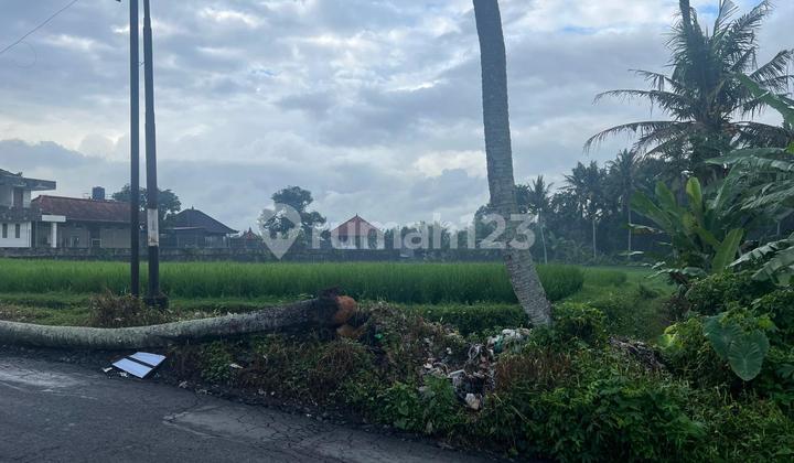 Land for Sale Kemenuh Location Land for Sale Kemenuh Location
