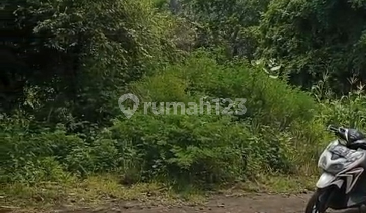 Tanah Jual Lokasi Nusa Dua