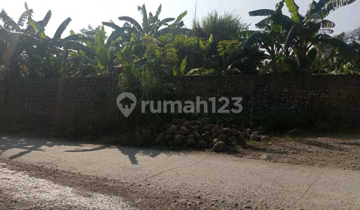 Wide & Strategic Land with Good Road Access in Rumpin, Bogor, West Java