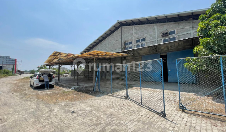 Flood-Free Warehouse Container Access Near Cikande/Kibin Industrial Area