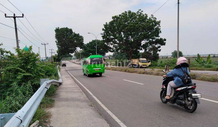 Tanah Sawah Pinggir Jalan Di Lingkar Karawang Jawa Barat  2