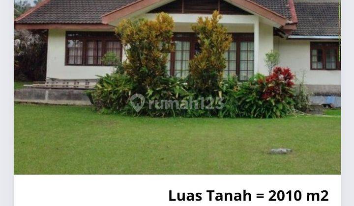 Dijual Villa Coolibah Cimacan Cianjur Bogor Rp 6 M Nego Rumah 2 Lantai SHM Bagus 1