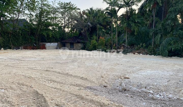 Peluang Emas Investasi Prima Di Jantung Seminyak, Bali Lokasi Sangat Eksklusif Di Lingkungan Villa : Jalan Petitenget, Seminyak, Badung