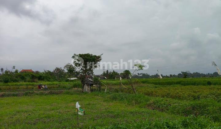 Kavling Tanah Siap Bangun, Lingkungan Asri