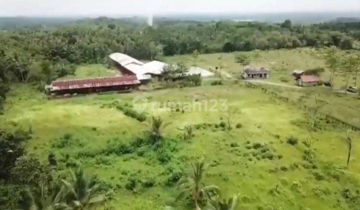 Lokasi Pinggir Jalan Raya, Cocok Untuk Usaha atau Investasi 1