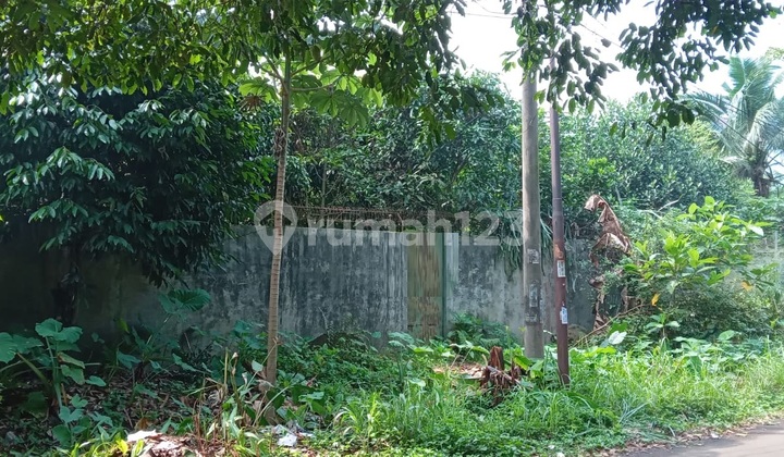 Kavling Griya Loka Bsd Lokasi Tenang Posisi Badan