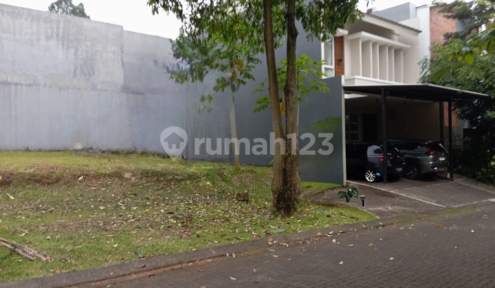 LOT THE GREEN BAGUS BODY POSITION SIZE 120 METERS