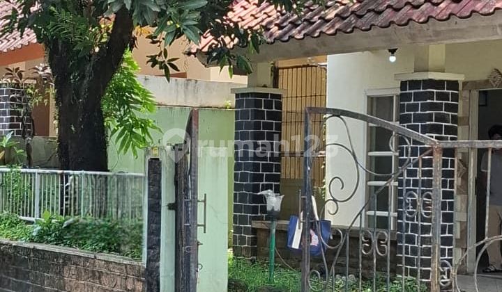 Rumah Anggrek Loka Bsd Murah Luas 250 Meter Butuh Renovasi