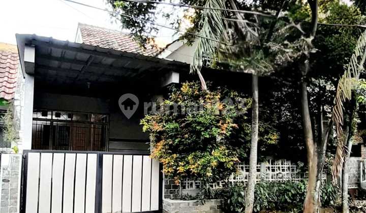 Orchid Loka Bsd Area 200 Meters Negotiable Eligible for Mortgage