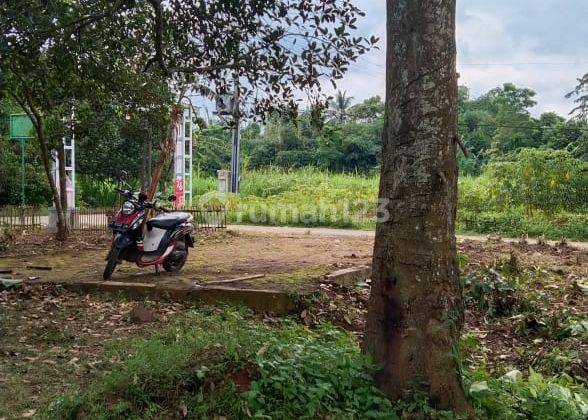 Tanah Curug Serang Banten Lokasi Bagus Cocok Untuk Perumahan Atau Kebun 2