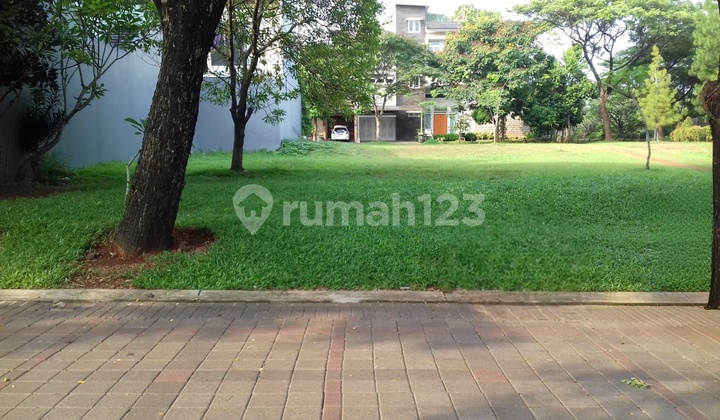 Kavling Foresta Bsd Lokasi Di Jalan Utama Bagus Row Jalan Lebar