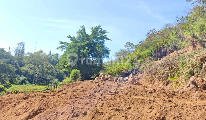 2 Plots of Land Each @950 Meters Mountain View – Pancasari Near Bedugul Bali