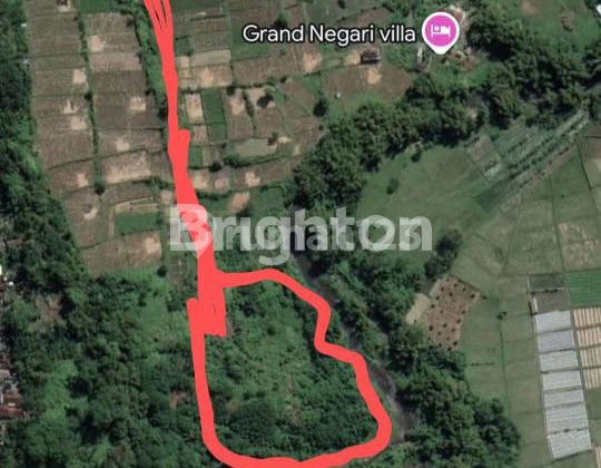 TANAH LUAS 260 ARE – JALAN IDA BAGUS MANTRA, KLUNGKUNG  Lokasi Strategis  Seberang RS Graha Medika Klungkung BALI COCOK UNTUK RESORT /PERUMAHAN
