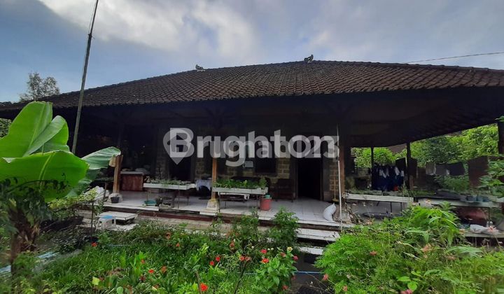 LAND 2850 M TABANAN PENEBEL BALI STRATEGIC LOCATION NEAR TOURIST DESTINATION TABANAN BEDUGUL LAND 2850 M TABANAN PENEBEL BALI STRATEGIC LOCATION NEAR TOURIST DESTINATION TABANAN BEDUGUL