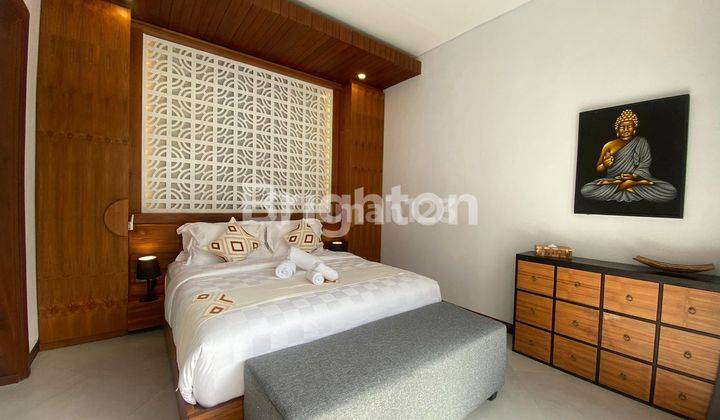 BRAND NEW  VILLA  IN CANGGU 2