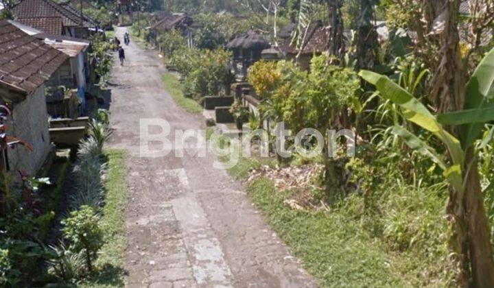 Tanah 1475 Meter  Datar Dengan View Sawah Abadi  Siap Bangun Payangan Ubud Bali 2