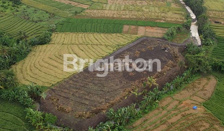 TANAH KAVLING INVESTASI PASUT BEACH