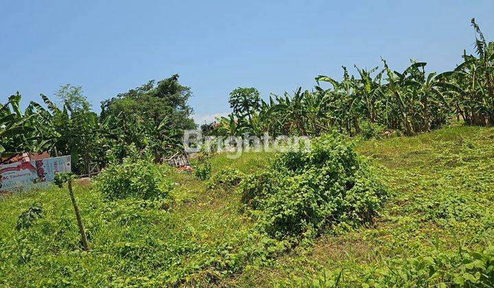 SPECIAL LAND PLOT IN BERAWA CANGGU BALI