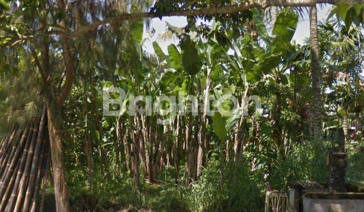 FLAT LAND 14.75 ARE READY TO BUILD FOR INVESTMENT PAYANGAN UBUD BALI 1