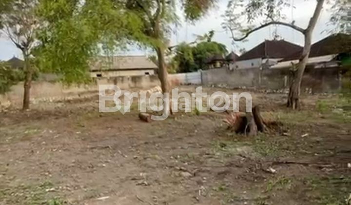 TANAH STRATEGIS 10 ARE DI PERERENAN CANGGU - COCOK UNTUK VILLA BISA BELI MIN 2 ARE TANAH STRATEGIS 10 ARE DI PERERENAN CANGGU - COCOK UNTUK VILLA BISA BELI MIN 2 ARE